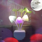Novelty Mushroom Fungus Night Light EU & US Plug Light